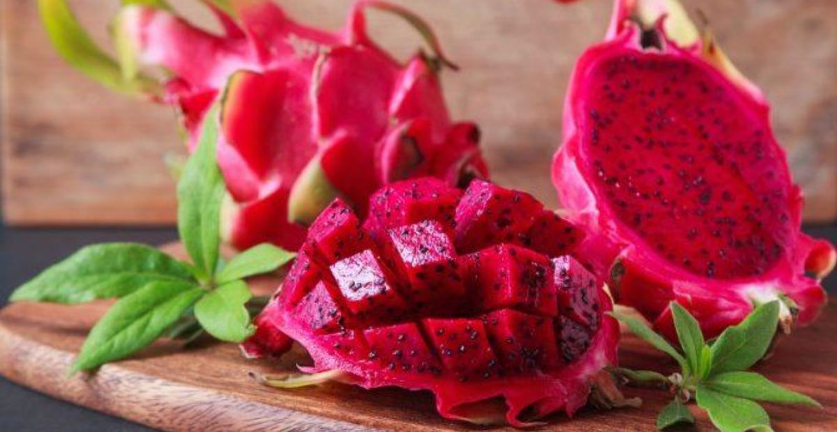 5 Tips Manfaat Buah Naga Bagi Kesehatamn Tubuh
